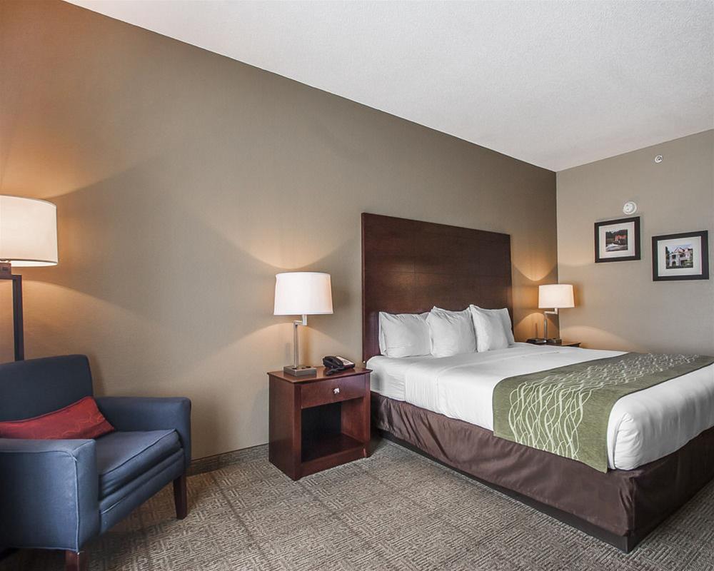 Comfort Inn Us Hwy 80 Demopolis Kültér fotó